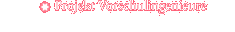 Projekt Vorschulingenieure