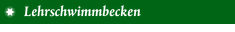 Lehrschwimmbecken