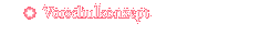 Vorschulkonzept