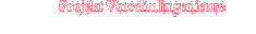 Projekt Vorschulingenieure